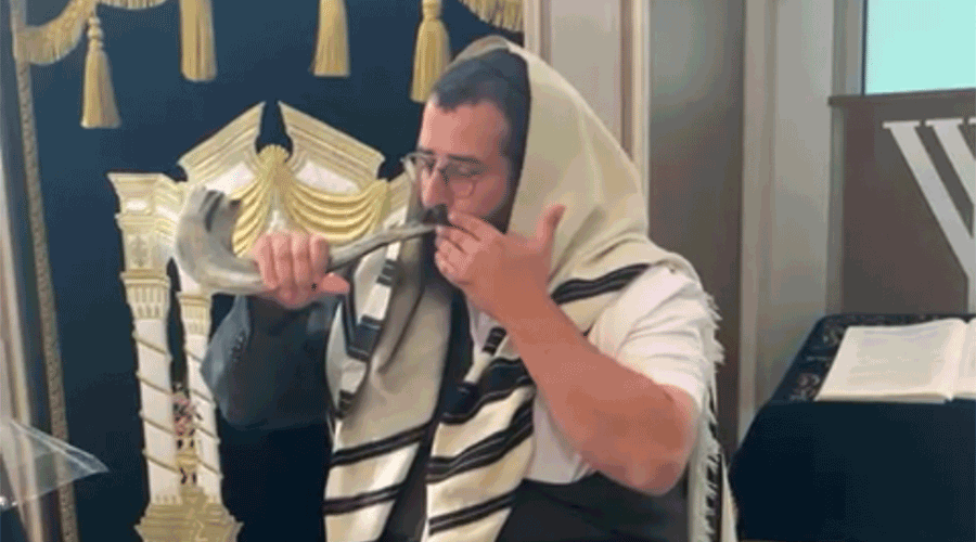 Rav sonne le shoffar